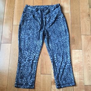 Animal Print Danskin DRIMORE Pants
